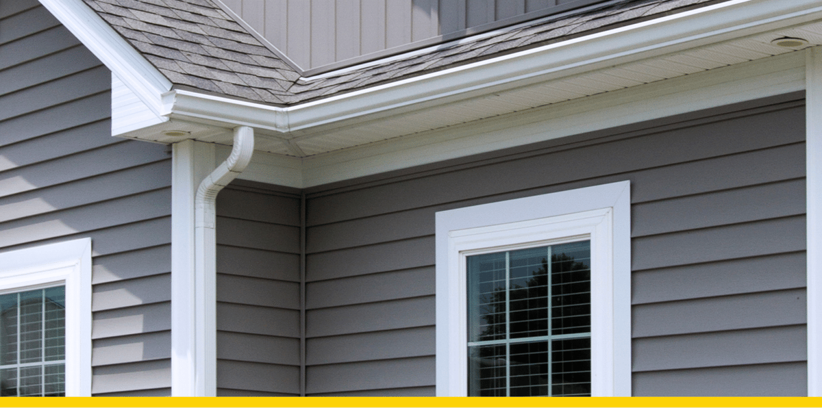 Vinyl Siding and Windows